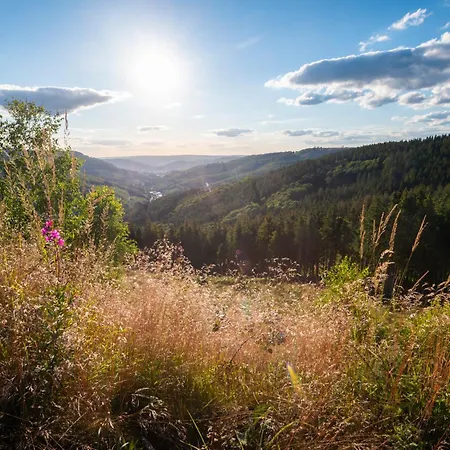 Hotell Schlosshotel Brilon-Wald