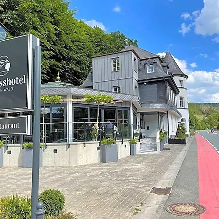 מלון Schlosshotel Brilon-Wald 3*
