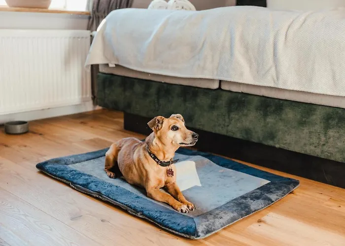 Schlosshotel Brilon-Wald Hotel 3*