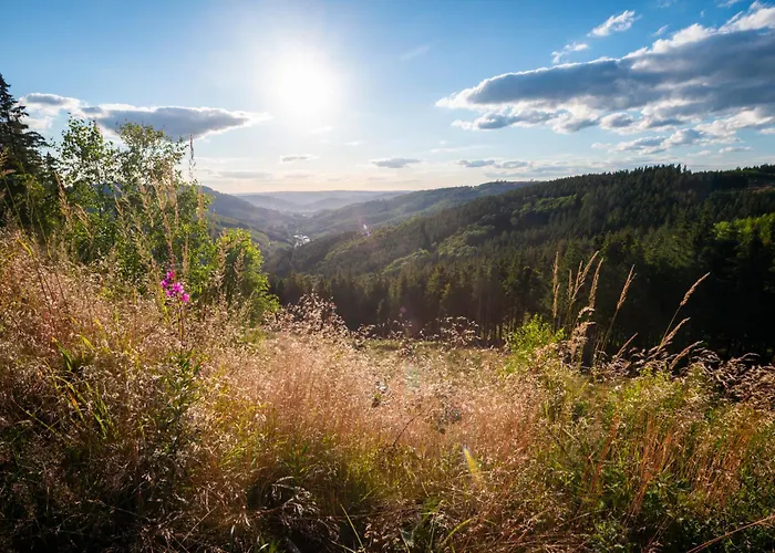 Hotel Schlosshotel Brilon-Wald
